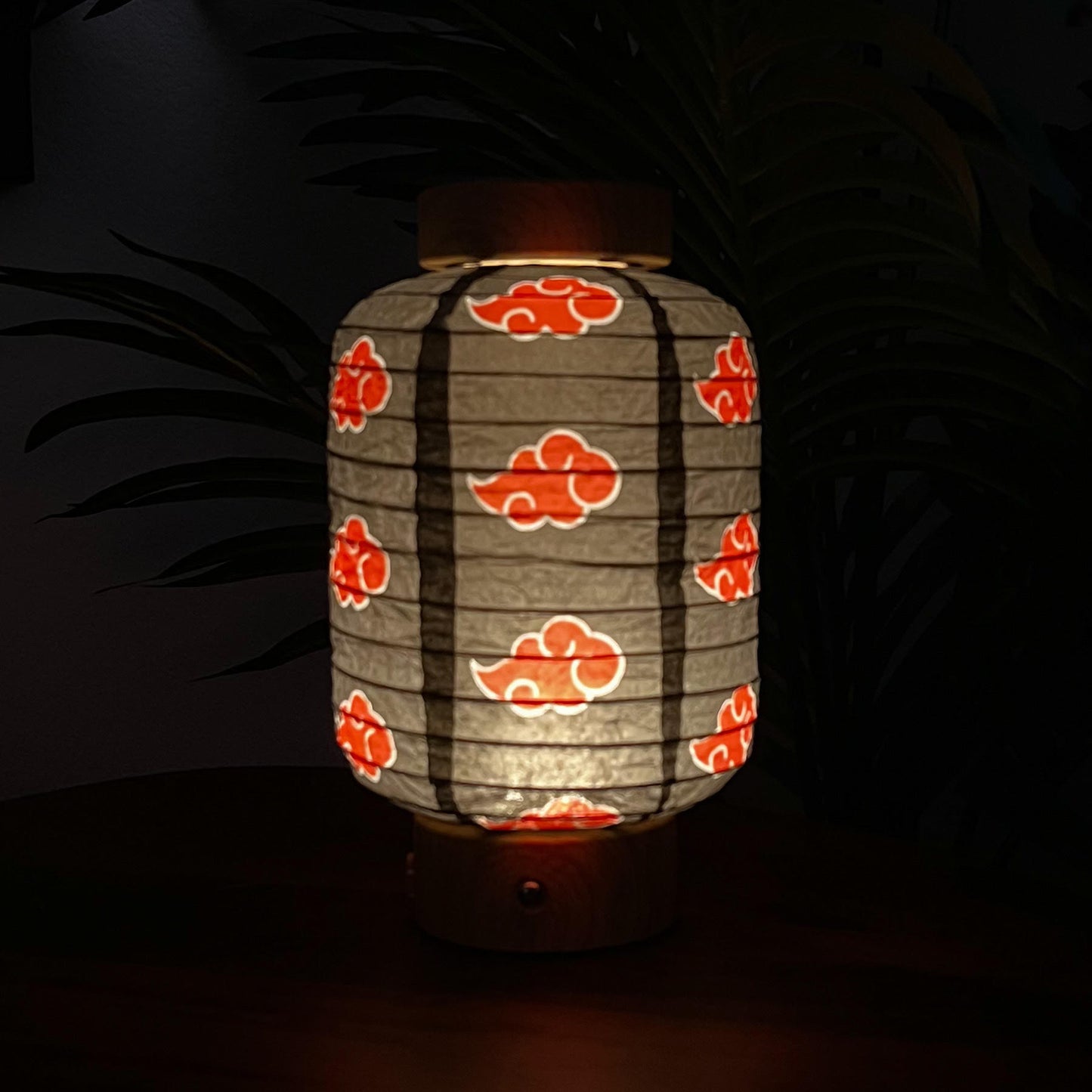 PAPER LANTERN SLEEVE