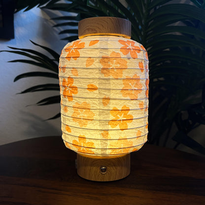 PAPER LANTERN SLEEVE