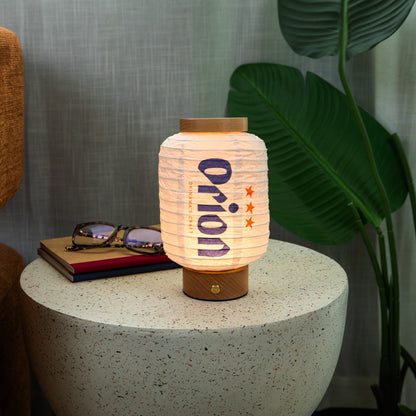 PAPER LANTERN SLEEVE