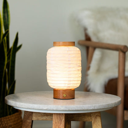 PAPER LANTERN SLEEVE