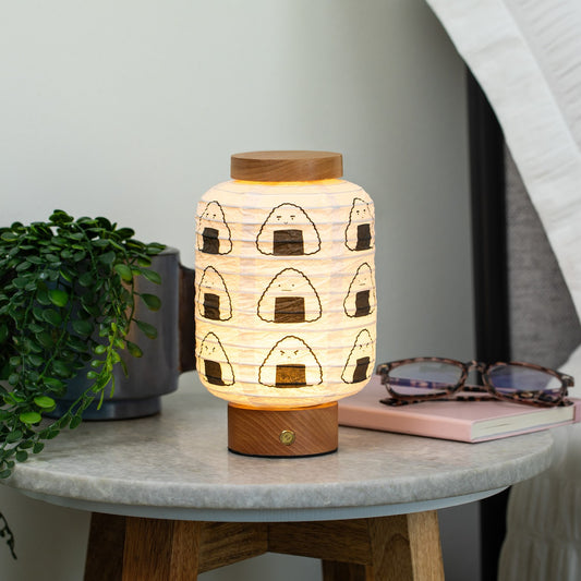 PAPER LANTERN SLEEVE